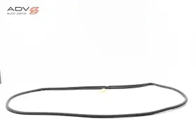 72310tjba01 Acura Rdx Front Right Passenger Side Door Weatherstrip Seal Oem 2019 - 2025