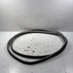 72315-tl0-003za Acura 09-14 Tsx Right Front Door Opening Seal On Body Gray Oem