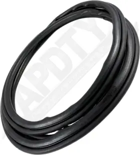 174456 Apdty Door Seal Front Passsenger Side