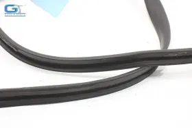 6g33l25325ab Aston Martin V8 Vantage Left Side Door Lower Weatherstrip Seal Oem 2007 - 2010 #2