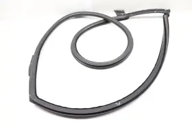 420831707k Audi 2009-2012 2014-2015 R8 - Front Left Door Seal / Weather Stripping Inner #2
