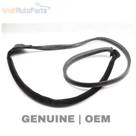420837911j Audi 2008-2012 2014-2015 R8 - Front Left Door Seal / Weather Stripping Outer