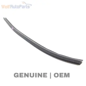 8k0839480c Audi 2009-2016 A4 - Rear Right Inner Window Slot Seal Trim