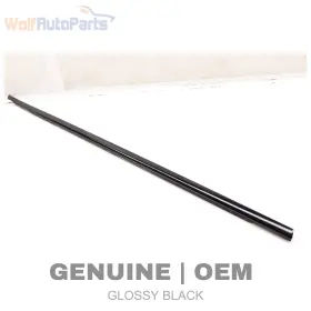 8w0853284d Audi 2018-2024 S4 B9 - Front Right Exterior Door Window Slot Seal / Trim