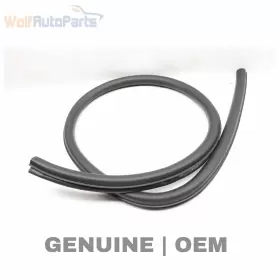 8w7831707 Audi 17-23 A5 Cabriolet B9 - Front Lower Door Seal / Weather Stripping Inner