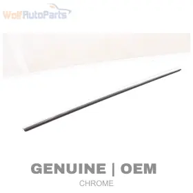 8w8853763 Audi 2018-2024 A5 Sportback - Rear Left Exterior Door Window Slot Seal / Trim