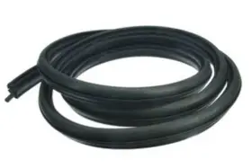 Gm0819040 Autotecnica Door Seal #2