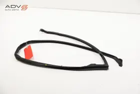 3w5839433g Bentley 2006 - 2012 Continental Rear Left Side Door Lower Weatherstrip Seal Oem