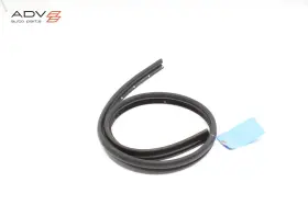 51337221180 Bmw 650i 640i F13 Front Right Side Door Lower Weatherstrip Seal Oem 2012 - 2018