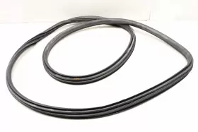 51337258312 Bmw 2016-2018 340i - Front Door Seal / Weather Stripping 7258312 #2