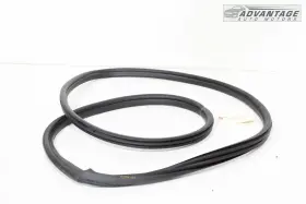51337258329 Bmw 2016-2018 330e Front Left Driver Side Door Weatherstrip Seal Rubber Oem