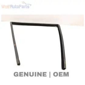 51357020584 Bmw 2000-2006 X5 - Rear Right Door Guide / Window Seal 7020584