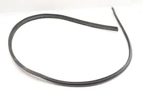 51727341643 Bmw 2016-2022 750i Xdrive G12 - Rear Left Lower Door Weather Stripping / Seal #2