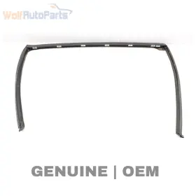 51767146623 Bmw 2007-2013 X5 - Rear Right Upper Door Window Trim Seal / Gasket 7146623