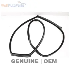 51767196389 Bmw 2010-2015 550i Gt - Rear Left Door Seal / Weather Stripping 7196389