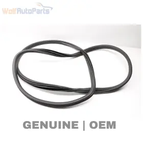 51767220382 Bmw 2007-2013 X5 - Rear Door Seal / Weather Stripping 7220382