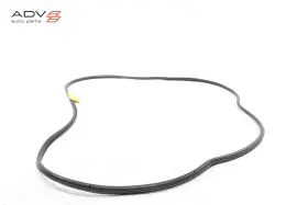 51767317851 Bmw X6 F16 Rear Right Passenger Side Door Weatherstrip Seal Oem 2015 - 2019