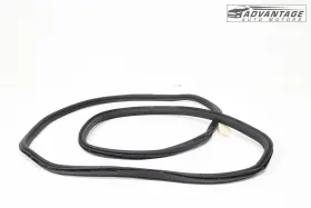 51767494945 Bmw 2018-2024 X3 G01 Tailgate Liftgate Back Door Weatherstrip Seal Oem