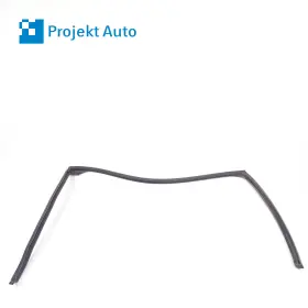 7208591 Bmw 07-13 Oem Rear Left Door Seal Upper Window X5 E70