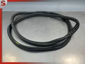 7318511 Bmw 2013-2018 320i F30 Rear Left Side Door Doorway Body Weatherstrip Seal Oem