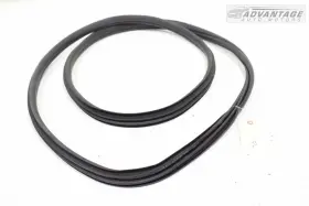 7393423-08 Bmw 2018-2024 X3 G01 Front Right Or Left Doorway Body Weatherstrip Seal Oem