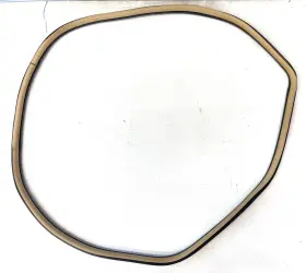 25820235 Cadillac 08-09 Cts Sedan Rear Right Side Back Door Rubber Weatherstrip Seal Oem
