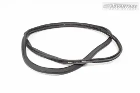 84113177 Cadillac 2019-2024 Xt4 Tailgate Liftgate Back Door Body Weatherstrip Seal Oem #2