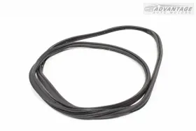 84113177 Cadillac 2019-2024 Xt4 Tailgate Liftgate Back Door Body Weatherstrip Seal Oem