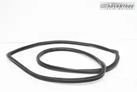 84530316 Cadillac 2020-2024 Xt6 Tailgate Liftgate Back Door Body Weatherstrip Seal Oem