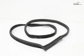 84160282 Chevrolet 2016-2023 Camaro Coupe Front Right Door Body Weathersteip Seal Oem 84160282 Chevrolet 2016-2023 Camaro Coupe Front Right Door Body Weathersteip Seal Oem