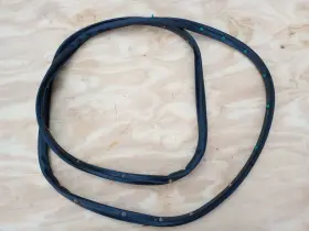 84218975 Chevrolet 2016-2023 Malibu Rear Left Side Door Weatherstrip Seal Oem