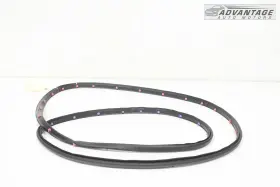 84222069 Chevrolet 2019-2023 Blazer Front Left Side Door Shell Weatherstrip Seal Oem