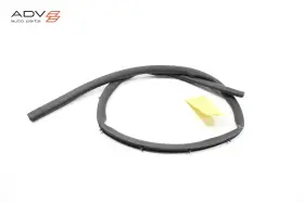 84595366 Chevrolet 2023 - 2025 Chevy Colorado Gmc Canyon Left Side Door Lower Weatherstrip Seal Oem 84595366 Chevrolet 2023 - 2025 Chevy Colorado Gmc Canyon Left Side Door Lower Weatherstrip Seal Oem