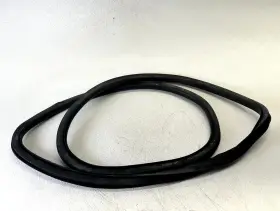 Chevrolet 95440408 11-16 Cruze Rear Right Rh Pass Side Door Weatherstrip Rubber Seal Oem