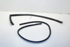 4575890af Dodge 2008-2023 Challenger Front Right Door Run Channel With Weatherstrip On Body
