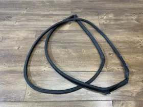 4894984ab Dodge 4894984ac 2008-2020 Grand Caravan Front Door Weather Seal Right Side Oem #2