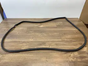 4894984ab Dodge 4894984ac 2008-2020 Grand Caravan Front Door Weather Seal Right Side Oem