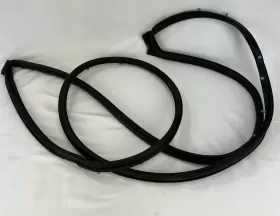 68040045aj Dodge Charger Front Left Driver Side Door Weatherstrip Seal Oem 2011 - 2023