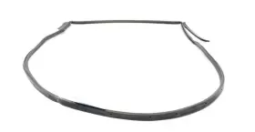 68040047ao Dodge Charger Rear Left Driver Side Door Weatherstrip Seal Oem 2011 - 2023