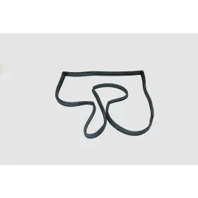 G3024 Fairchild Industries Door Seals Rear Passenger Right Side For Olds Chevy