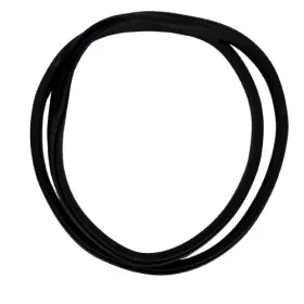 Fm2955100149b Fisker Fm2955100149 2023 2024 Ocean Rear Left Door Weather Strip Rubber Seal