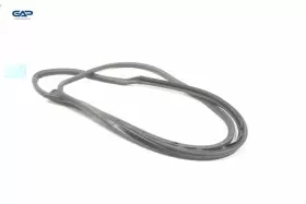 Cn15n20535ab Fomoco Ford Ecosport Front Right Passenger Side Door Weatherstrip Seal Oem 2018 - 2020 #3