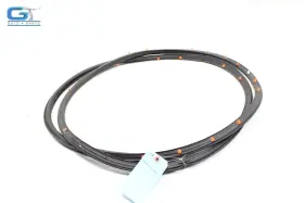 Lj8br20530ab Fomoco Ford Mustang Mach-e Front Right Side Door Weatherstrip Seal Oem 2021 - 2023 #3