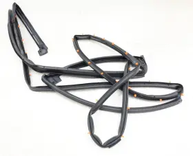 Ae9z-7425325-a Ford New Oem Rear Left Door Body Mounted Weatherstrip Mkt 10-19