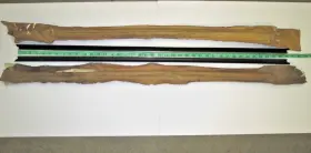 C9zz-6521456-a Ford Nos 69 70 Mustang Cougar Front Door At Belt Inside Weatherstrips #2