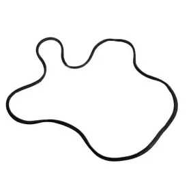Ck4z-61404a06-d Ford Genuine Surround Weather-strip