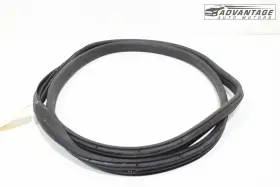 Ford Dt1z-6125324-b 2014-2023 Transit Connect Rear Right Sliding Doorway Weatherstrip Oem