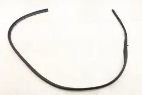 Dt1z-61253a10-a Ford New Sliding Door Lower Weatherstrip Rh Dt1z61253a10a Transit Connect 14-23 Dt1z-61253a10-a Ford New Sliding Door Lower Weatherstrip Rh Dt1z61253a10a Transit Connect 14-23