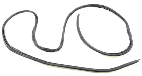 Ek4z-61253a10-g Ford New Oem Sliding Door Weatherstrip Right Ek4z61253a10g Transit 150 250 15-24