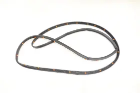 Ft4z-5820531-a Ford New Oem Front Left Door Mounted Weatherstrip Edge 2015-2023